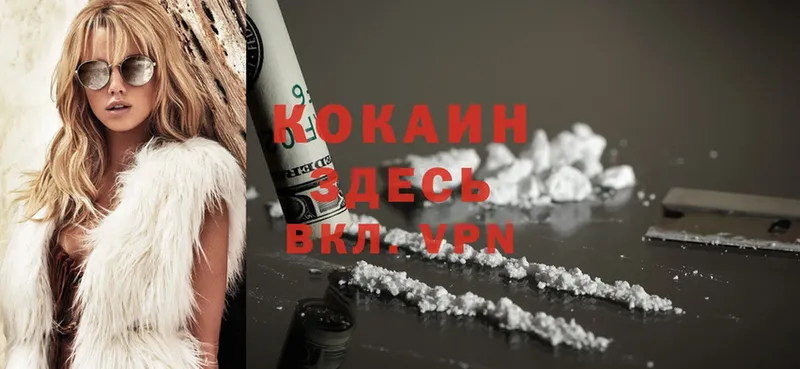 дарнет шоп  Тобольск  COCAIN Эквадор 